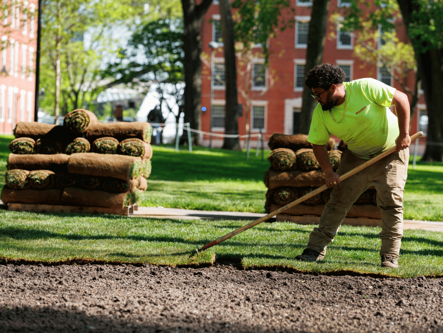 Landscaper with rake lays sod in Harvard Yard on a sunny spring day